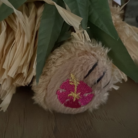 Hawaiian Collectibles Passport Bearfoot Hoku plush stuffed bear like new - Picture 4 of 5